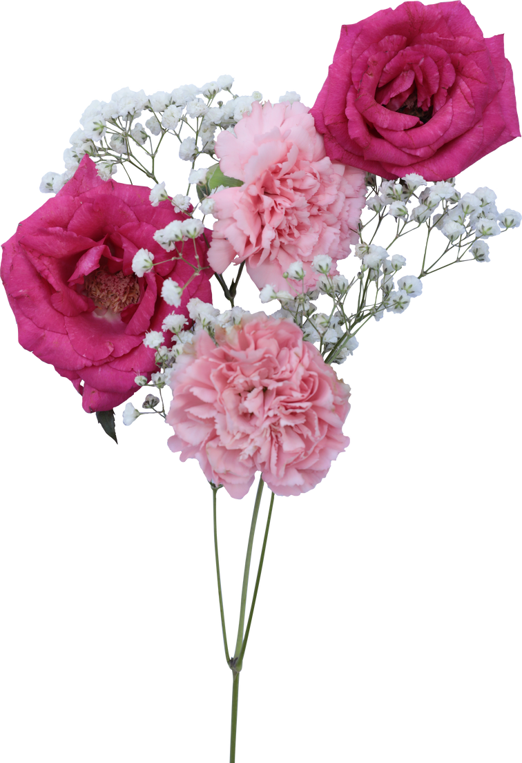 Bouquet of carnations, roses, and baby's breath
